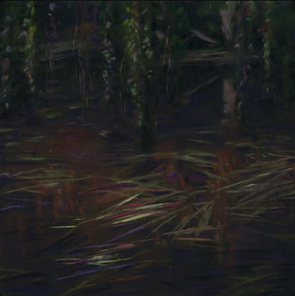 Raindrops EP Abstract album art for the Raindrops EP by Luventi, reminiscent of a rain forest.